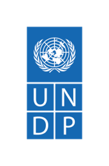 UNDP logo
